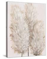 Pampas Grass IV-Tim OToole-Stretched Canvas