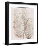 Pampas Grass IV-Tim OToole-Framed Art Print