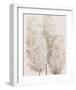 Pampas Grass IV-Tim OToole-Framed Art Print