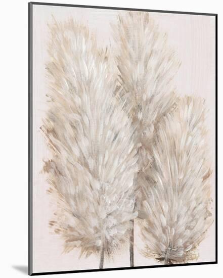 Pampas Grass IV-Tim OToole-Mounted Art Print