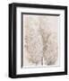 Pampas Grass IV-Tim OToole-Framed Art Print