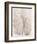 Pampas Grass IV-Tim OToole-Framed Art Print