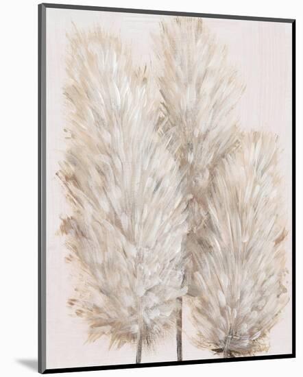 Pampas Grass IV-Tim OToole-Mounted Art Print