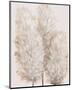 Pampas Grass IV-Tim OToole-Mounted Art Print