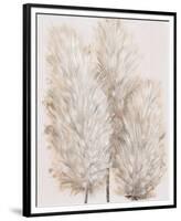 Pampas Grass IV-Tim OToole-Framed Premium Giclee Print