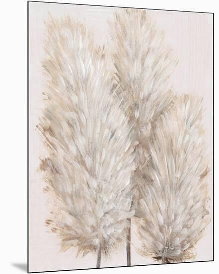 Pampas Grass IV-Tim OToole-Mounted Premium Giclee Print