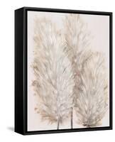 Pampas Grass IV-Tim OToole-Framed Stretched Canvas