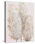 Pampas Grass IV-Tim OToole-Stretched Canvas