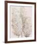 Pampas Grass IV-Tim OToole-Framed Art Print