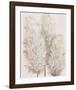 Pampas Grass IV-Tim OToole-Framed Art Print