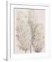 Pampas Grass IV-Tim OToole-Framed Art Print