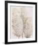 Pampas Grass IV-Tim OToole-Framed Art Print