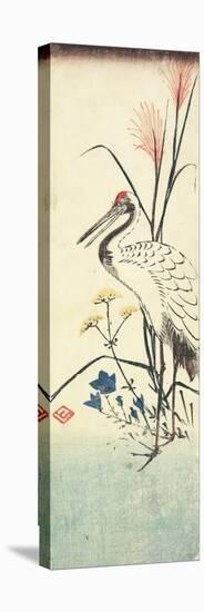 (Pampas Grass, Patrinia, Chinese Bellflower and a Crane), 1830-1858-Utagawa Hiroshige-Stretched Canvas