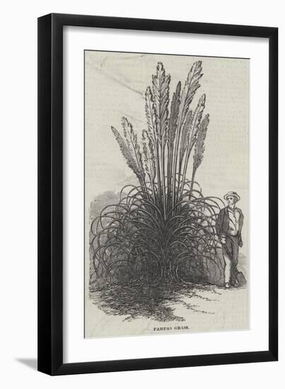 Pampas Grass-null-Framed Giclee Print