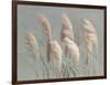 Pampas Grasses on Gray-Danhui Nai-Framed Art Print