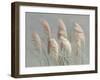 Pampas Grasses on Gray-Danhui Nai-Framed Art Print