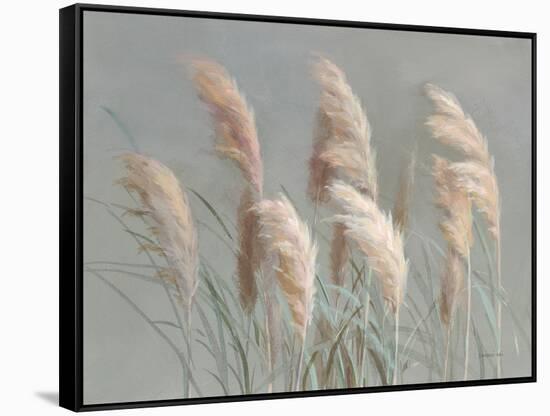 Pampas Grasses on Gray-Danhui Nai-Framed Stretched Canvas