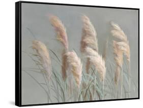 Pampas Grasses on Gray-Danhui Nai-Framed Stretched Canvas