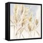 Pampas Grasses-Katrina Pete-Framed Stretched Canvas