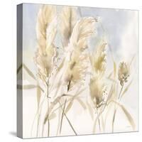 Pampas Grasses-Katrina Pete-Stretched Canvas