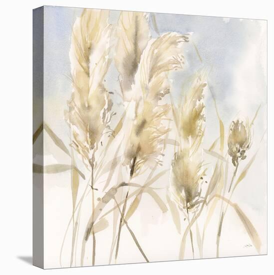 Pampas Grasses-Katrina Pete-Stretched Canvas