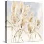 Pampas Grasses-Katrina Pete-Stretched Canvas