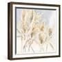 Pampas Grasses-Katrina Pete-Framed Art Print