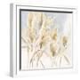 Pampas Grasses-Katrina Pete-Framed Art Print