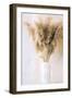 Pampass Vase-Ann Bailey-Framed Art Print