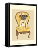 Pampered Pet I-Chariklia Zarris-Framed Stretched Canvas