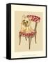 Pampered Pet II-Chariklia Zarris-Framed Stretched Canvas