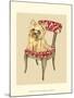 Pampered Pet II-Chariklia Zarris-Mounted Art Print