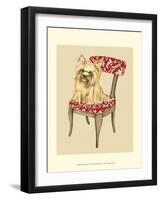 Pampered Pet II-Chariklia Zarris-Framed Art Print