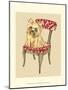 Pampered Pet II-Chariklia Zarris-Mounted Art Print