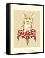 Pampered Pet III-Chariklia Zarris-Framed Stretched Canvas