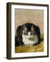 Pampered Pet-Henriette Ronner Knip-Framed Giclee Print