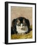 Pampered Pet-Henriette Ronner Knip-Framed Giclee Print