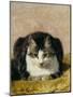 Pampered Pet-Henriette Ronner Knip-Mounted Giclee Print