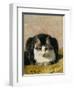 Pampered Pet-Henriette Ronner Knip-Framed Giclee Print