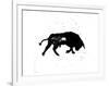 Pamplona Bull III-Rosa Mesa-Framed Art Print