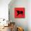 Pamplona Bull V-Rosa Mesa-Mounted Art Print displayed on a wall