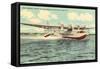 Pan-American Clipper Taking Off, Florida-null-Framed Stretched Canvas
