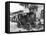 Pan-American Exposition Ambulance-C^d^ Arnold-Framed Stretched Canvas