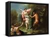 Pan and Syrinx-Paolo Di Matteis-Framed Stretched Canvas