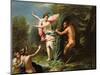 Pan and Syrinx-Paolo Di Matteis-Mounted Giclee Print