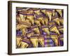 Pan Flutes, Aguas Calientas, Peru-Darrell Gulin-Framed Photographic Print