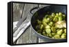 Pan-Fried Brussels Sprouts in Cast-Iron Frying Pan on Wooden Table-Jana Ihle-Framed Stretched Canvas
