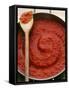 Pan of Home-Made Tomato Sauce-Steve Baxter-Framed Stretched Canvas