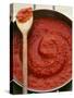 Pan of Home-Made Tomato Sauce-Steve Baxter-Stretched Canvas