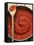 Pan of Home-Made Tomato Sauce-Steve Baxter-Framed Stretched Canvas